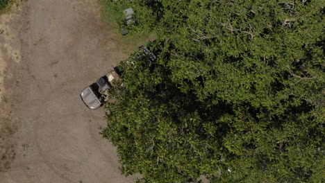 Person-driving-ATV-with-trailer-loaded-with-boxes-of-fresh-produce,-aerial-top-down-shot
