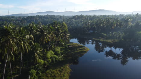 Palm-tree-forest-with-reflection-in-river-water-and-sustainable-energy-windmills-in-horizon,-aerial-shot