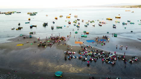 Pescadores-Clasificando-Mariscos-Frescos-En-La-Tranquila-Bahía-Mui-Ne-En-Vietnam-En-Un-Día-Soleado