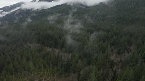 Aerial-of-cold-dense-forest-in-Snoqualmie-Pass