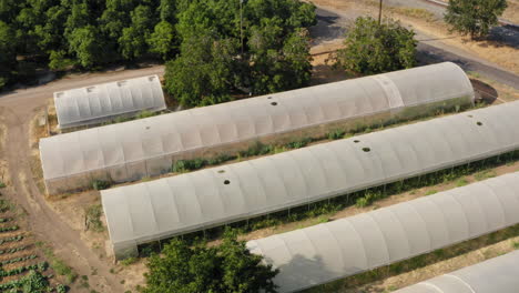 Industrial-size-greenhouses-near-arable-land-with-growing-plants,-aerial-ascend-shot