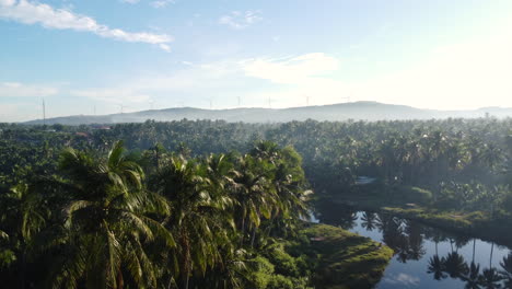 Landscape-with-palm-trees,-wind-turbines-in-background