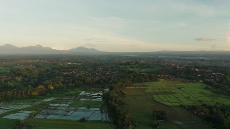 Steamy-humid-landscape-of-tropical-rural-Bali-with-jungle-and-rice-field,-aerial