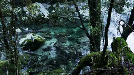 Top-down-shot-of-clear-river-with-rocks-in-jungle-of-New-Zealand,Milford-Track