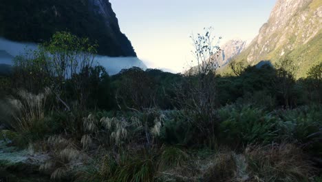 Panning-shot-of-idyllic-valley-with-species-plants-and-fog-hovering-between-massive-mountains