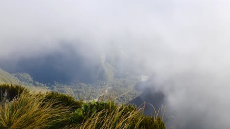 Tilt-up-shot-of-waving-grasses-on-mountaintop-with-clouds-and-fog-in-the-sky---Hiking-on-Milford-Track-in-New-Zealand