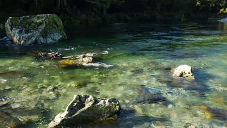 Panning-shot-of-tropical-clear-river-flowing-between-rocks-in-jungle-of-New-Zealand-lighting-by-sunlight
