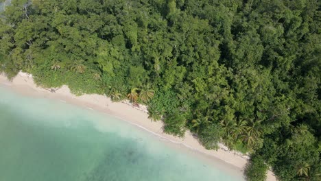 AERIAL---island-peninsula-with-white-sand-and-green-trees