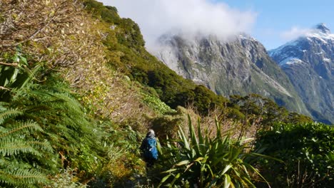 Rear-view-of-woman-with-backpack-and-trekking-poles-hiking-in-rural-mountains-during-sunny-day-and-hovering-clouds---Vegetated-scenery-with-fern-and-tropical-leaves-on-mountaintop