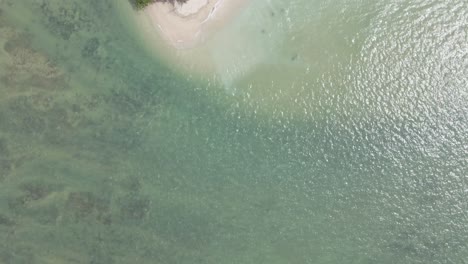 Drone-flies-over-clear-sea-onto-lush-green-island