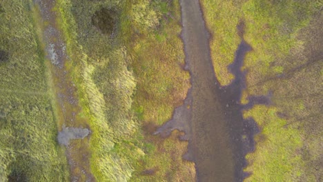 Aerial-Looking-Down-Flying-Over-Swampland-In-Salt-Meadows-At-Nature-Preserve-Near-Texel-Wadden-Island