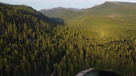 Aerial-jib-view-of-the-forest-in-northern-Idaho