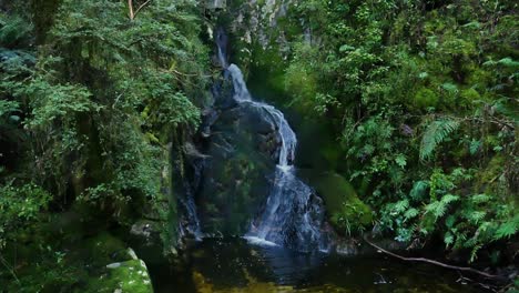 Inclinación-Hacia-Abajo-De-La-Cascada-Tropical-Que-Fluye-Por-Las-Montañas-Plantadas-En-Nueva-Zelanda,-Que-Desemboca-En-Un-Lago-Natural