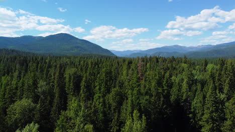 Aerial-drone-view-of-the-forest-cover-on-the-mountain-in-northern-idaho