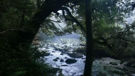 Mystical-river-flowing-in-dense-rainforest-during-misty-day,pan-shot