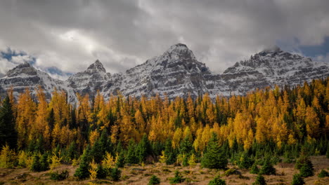 Time-Lapse-Dark-Clouds-Moving-Above-Forest-in-Larch-Valley-and-Snow-Capped-Peaks-of-Banff-National-Park,-Sentinel-Pass,-Canada