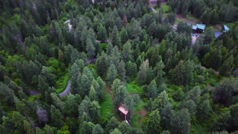 Rotierende-Drohnenansicht-Eines-Waldes-Im-Norden-Von-Idaho