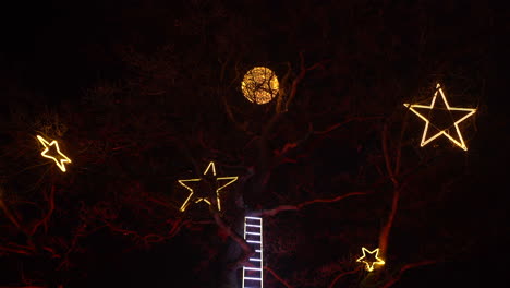 Escalera-En-El-árbol-Con-Estrellas-Amarillas-Y-Luna