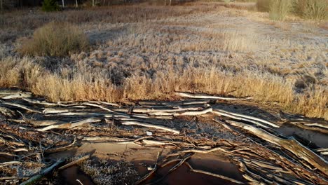 Reveal-DriftWood-And-Lake-During-Frozen-Winter,-Pull-Back-Aerial