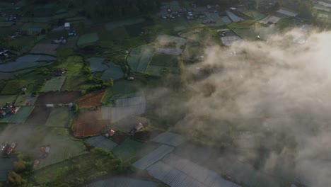 Magical-golden-hour-with-mist-covering-scenic-rice-fields-in-Bali-valley,-aerial
