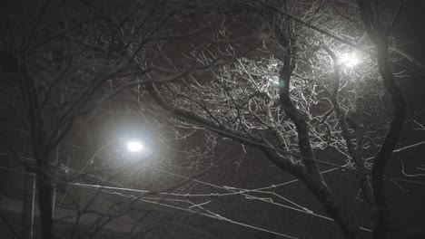 Schneesturm-Auf-Der-Stadt-Während-Der-Winternacht