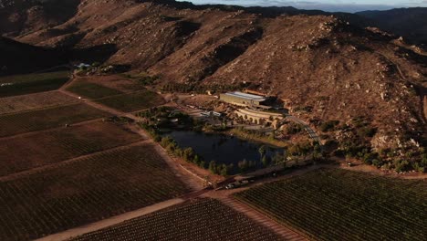 An-aerial-view-of-a-vineyard-in-Baja-California,-Mexico