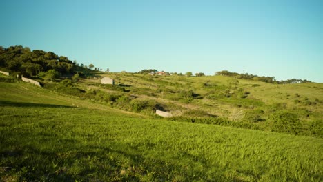 Fondo-De-Campo-Verde-Al-Atardecer-Con-árboles,-Colinas,-Camino-Rural,-Casa-De-Piedra,-Cielo-Azul