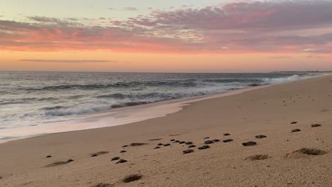 Baby-leatherback-turtles-crawl-towards-the-sunset-in-Mexico