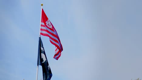 Engagement-Für-Exzellenz-Flagge-Und-Washington-State-University-Flaggenschwenken-Fliegt-Video-Nationale-Amerikanische-Feier