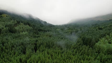 Tief-Hängende-Wolken-Zwischen-Dem-Grünen-Wald-In-Der-Schottischen-Wildnis-An-Einem-Nebligen-Morgen