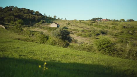 Campo-Verde-Al-Atardecer-Con-árboles,-Colinas,-Casa-Rural-De-Piedra,-Cielo-Azul