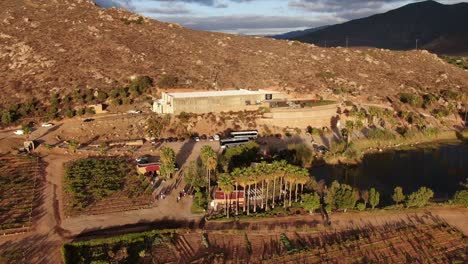 Luftaufnahme-Eines-Weinbergs-In-Der-Nähe-Eines-Sees-Im-Valle-De-Guadalupe