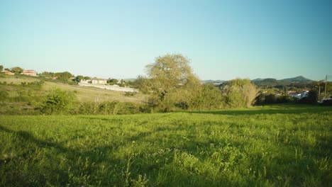 Grünes-Feld-Bei-Sonnenuntergang-Mit-Bäumen,-Hügeln,-Landhaus,-Blauer-Himmel