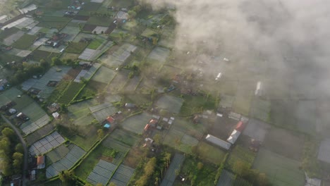 Mount-Batur-Caldera-village-covered-in-mist-during-sunrise,-aerial