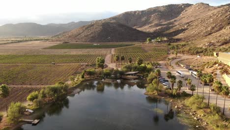 Aerial-view-of-a-lake-near-a-vineyard-in-Baja-California,-Mexico