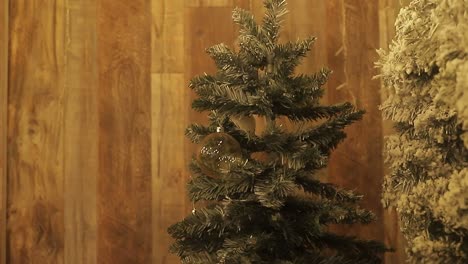 Weihnachtsbaum-Ohne-Weihnachtsdekoration-Mit-Weißen-Lichtern-Herum,-Entspanntes-Einfamilienhaus,-Weihnachtsferien