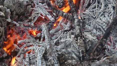 White-burning-charred-wood-at-a-campfire-with-fire-flames,-close-up-background-of-logs-in-combustion