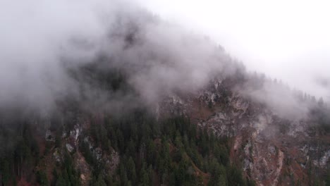 Mist-covering-mountain-slope-of-Bavarian-alps-with-pine-trees,-aerial