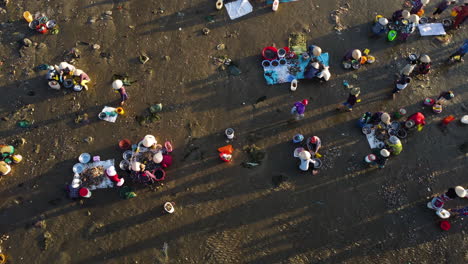 Bird's-eye-view-of-women-working-on-the-beach-in-Mui-Ne-bay,Vietnam-early-morning-cleaning-and-sorting-fish-seafood