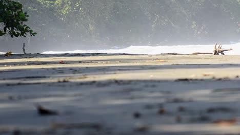 Still-footage-of-a-black-beach-in-central-America