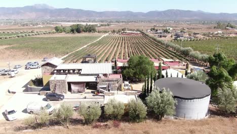 Aerial-view-of-a-bistro-near-a-vineyard-in-Mexico
