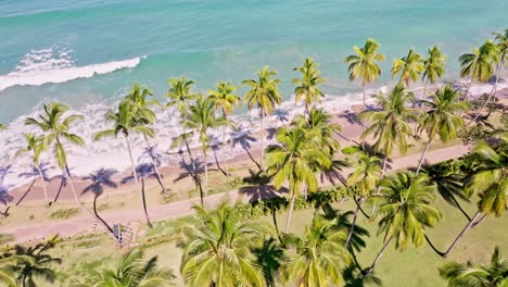 Schöne-Strandlandschaft-In-Playa-Bonita-Las-Terrenas,-Dominikanische-Republik---Luftaufnahme