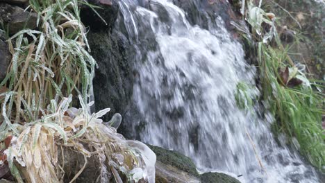 Still-water-stream-flowing-on-rocks,-forest-Landscape,-winter-vegetation-scenery