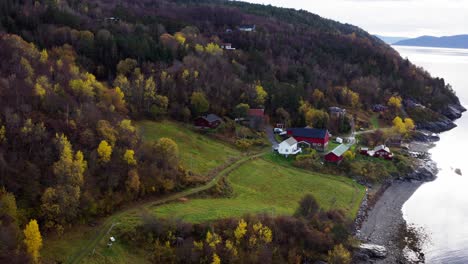 Forest-With-Autumn-Colors-And-Norwegian-Cabins-Facing-The-Sea-From-Above-In-Norway