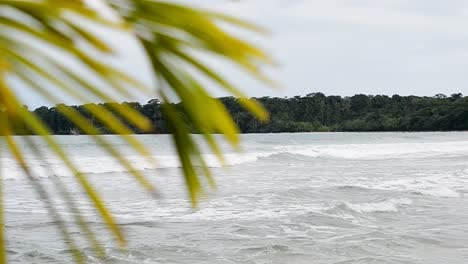 Caribbean-seashore-in-front-of-the-coast-line-of-the-popular-Cahuita-National-Park