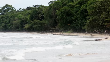 Person-swimming-in-the-shallow-water-at-playa-blanca-in-Cahuita-National-park