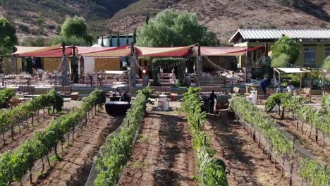 Aerial-view-of-a-vineyard-being-setup-for-a-social-event