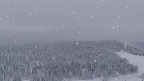 Día-De-Niebla-Sobre-El-Bosque-Cubierto-De-Nieve-En-Suecia-Durante-Las-Nevadas,-Vista-Aérea