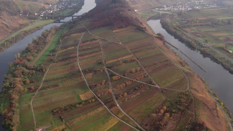 Beautiful-Riesling-wine-vineyards-along-iconic-Moselle-river-in-Germany,-Aerial