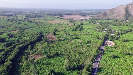 Aerial-forward-over-cultivated-fields,-Neiba-or-Neyba-in-Dominican-Republic